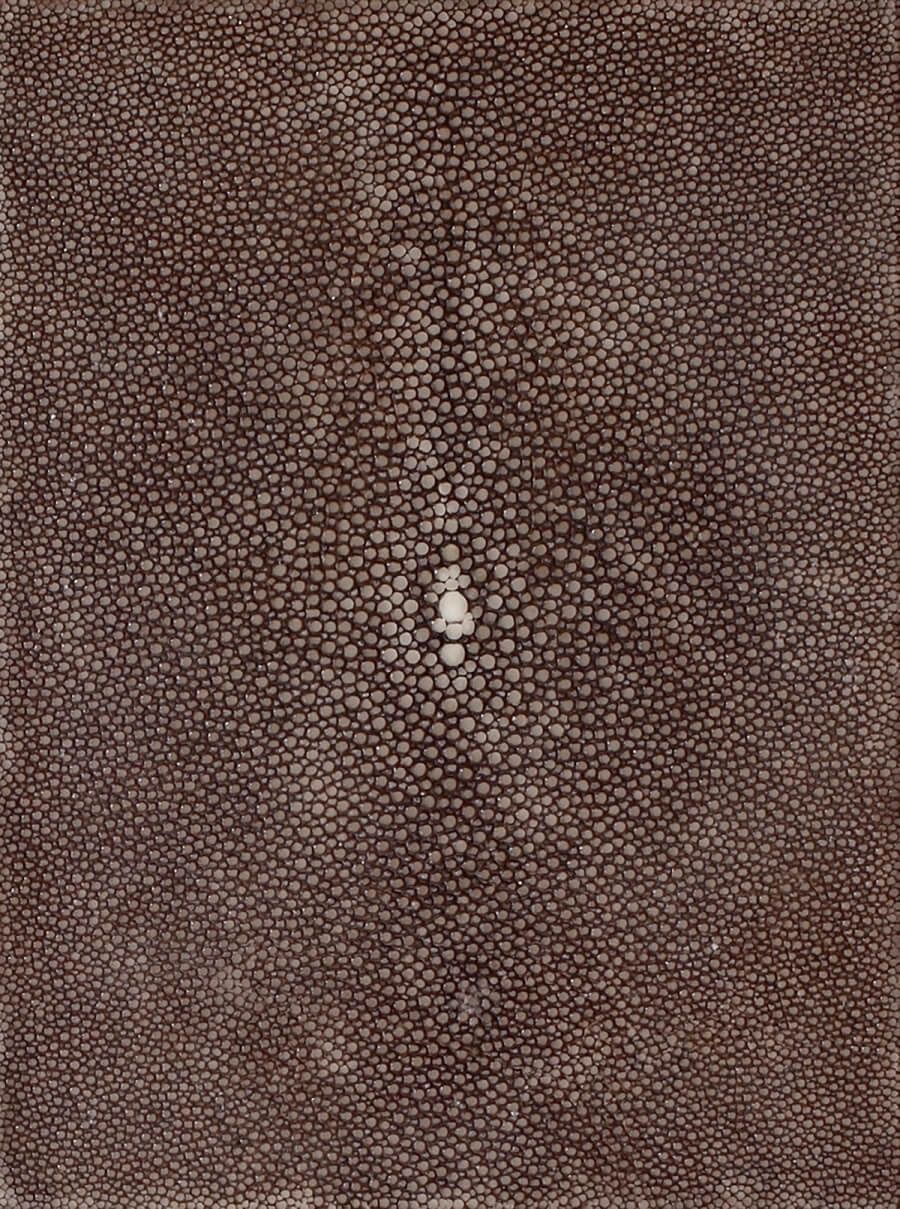 Precious Shagreen Alexander Lamont - COLLECTIONALmade - Brand Page - at COLLECTIONAL Dubai
